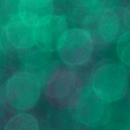 Bokeh-427